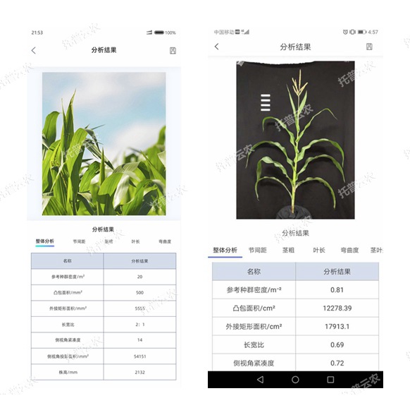 玉米株型分析系統手機軟件界面