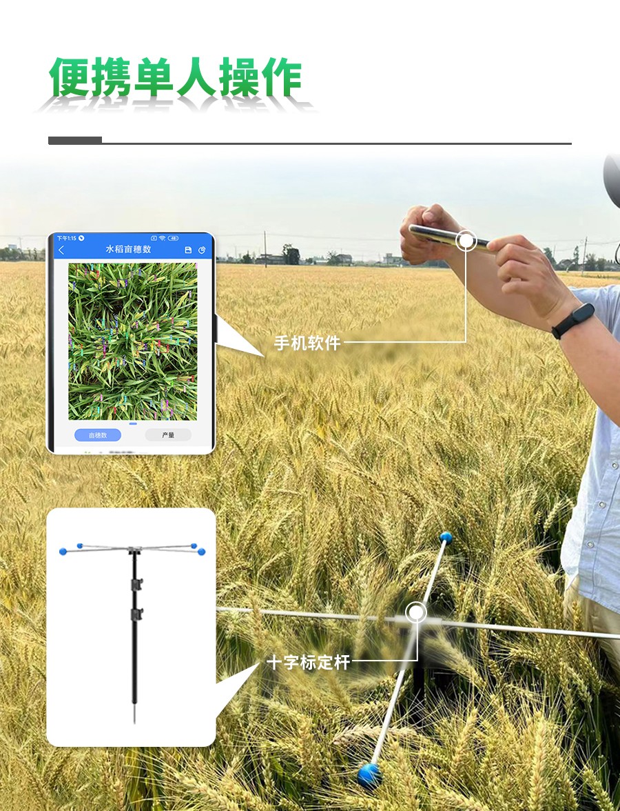 水稻畝穗數測量系統